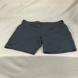 EUC Mens The north face shorts